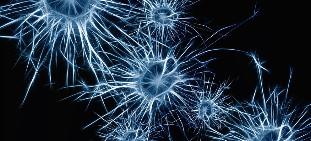Motor Neurone Disease - A Useful Guide